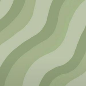 Meet your Posher, Payton